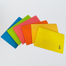 Assorted Colour Lion File Pocket File