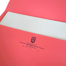 Assorted Colour Lion File Pocket File