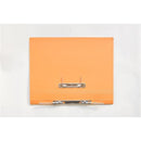 Lion File (300GSM/400GSM) Manila Files with Transfer Fitting.