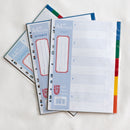 LIONFILE A4 12 COLOURED tab Index Dividers 0.13mm PP