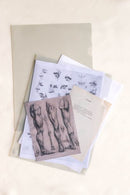 LIONFILE L / U / C-Shape A4 Transparent Plastic Folder - 24pcs/pack