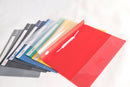 LION FILE Management and Presentation File - Assorted Colours