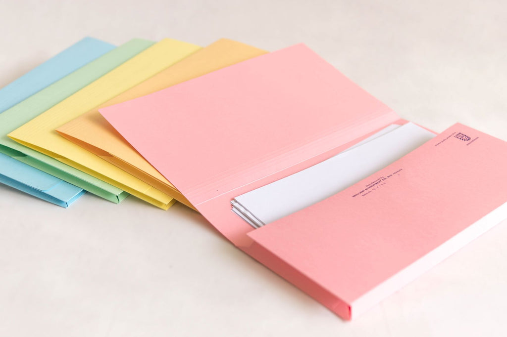 Assorted Colour Lion File Pocket File